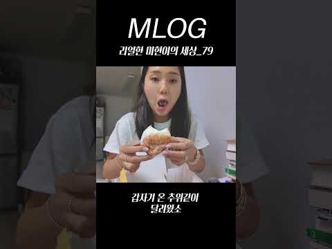 갑자기 온 추위같이 달려왔소 | mlog 리얼한 미현이의 세상_79 (sub) #mlog #mimpd  #shorts