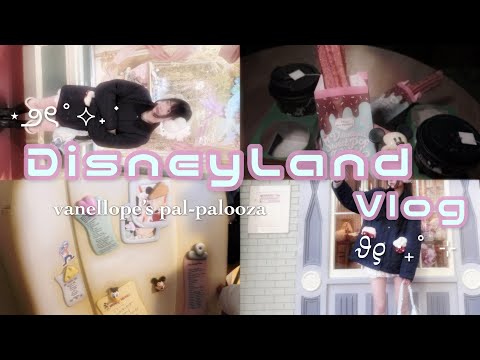 🍩Disneyland vlog🍭【サムネと動画のギャップ注意】