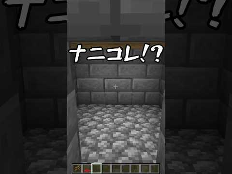 世界一知られてないドア！【まいくら・マインクラフト】