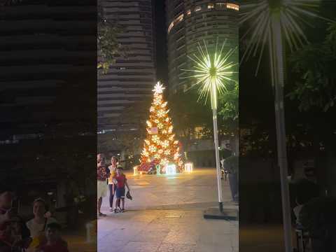 Capitol Commons Christmas Decor 2023 #shorts #christmastree #christmasdecor #shortvideo  #adsense