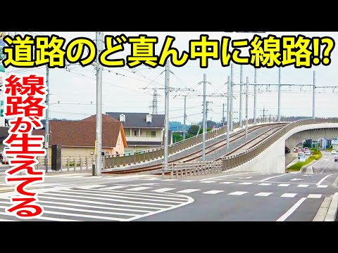 【今後どうなる？】新規開業した路面電車の謎に迫る