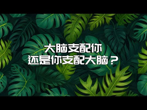 是你支配大脑，还是大脑支配你