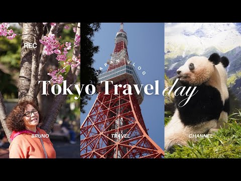 Ueno zoo Tokyo! Panda Time!! Tokyo Tower