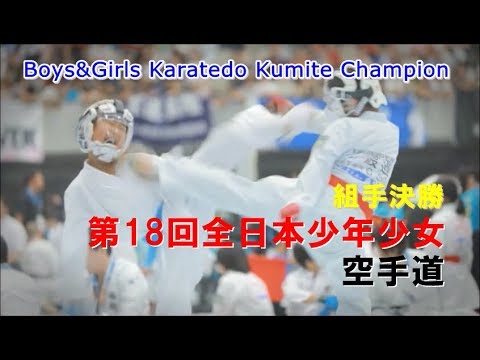 空手キッズ頂上対決 組手決勝 第18回全日本少年少女空手道選手権大会 karatedo