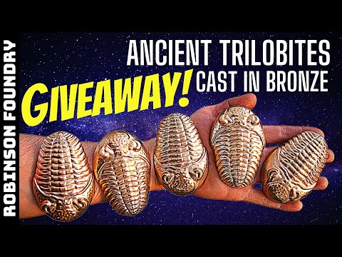 How to cast bronze TRILOBITES │Metal casting at home │ Giveaway! #RobinsonFoundry