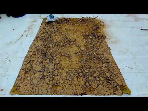 Carpet Cleaning Satisfying Video - Watch Dirt Disappear! Oddly Satisfying Carpet Cleaning ASMR