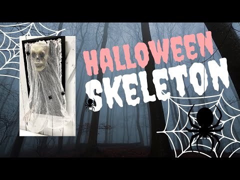 Halloween Skeleton Hanger