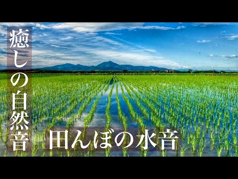 【癒しの自然音】　田んぼの水張り【作業用BGM・勉強用・睡眠導入ASMR】　Japanese healing sound  赤ちゃんの夜泣き対策にも