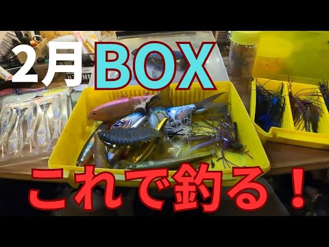 【バス釣り】2月のタックルBOX入れ替え！真冬に釣れるルアー、ワームの釣れる使い方を解説しながら整理します！一年で一番、釣れない時期と言われるが、狙ってデカバスが釣れる時期【ビッグベイト】【厳寒期】