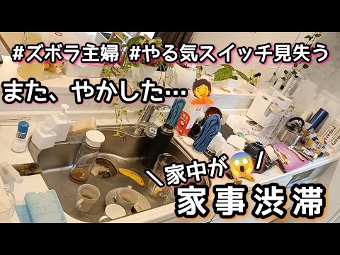 【家事渋滞】ズボラ主婦/キッチンリセット/家事動画/3児ママ/