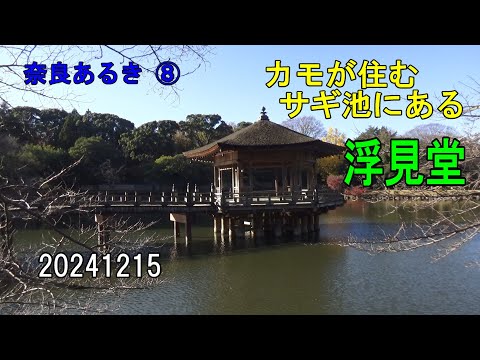 奈良あるき⑧ 浮見堂～カモが住むサギ池にある～