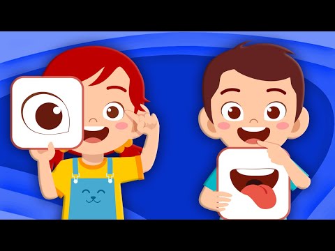 Explore The 5 Senses! | Human Body Songs For Kids | KLT Anatomy