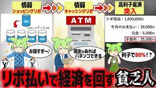 リボ払いで日本経済の潤滑油になろうとする一般人【ずんだもん解説】