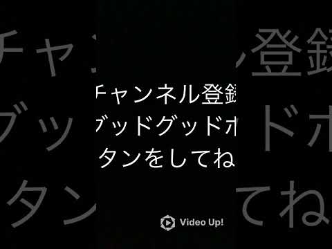 2025年2月22日