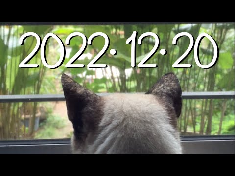 2022年12月20日