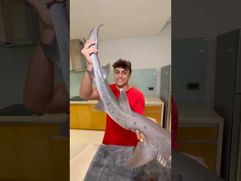 Cooking MASSIVE Shark