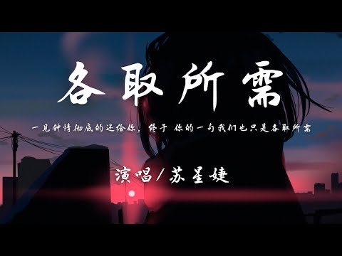 苏星婕 - 各取所需 『终于 你的一句我们也只是各取所需界定，我们之间距离隔着海底十万里。』【動態歌詞】♪