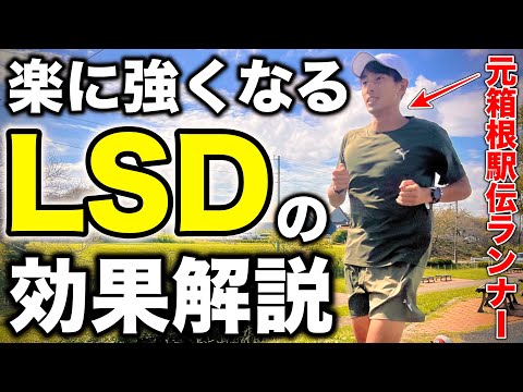 楽に強くなるLSDの重要性と効果を元箱根駅伝ランナーが細かく解説！マラソン3時間半切りを目指す撮影者と初の120分ランニング？#running #lsd #マラソン