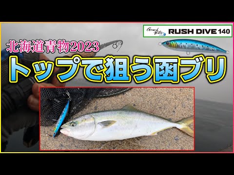 【北海道青物2023】函館：外海が荒れた日の湾内で、釣りド素人トップで函ブリを狙う！＜1日目＞