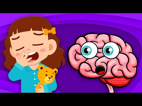 Learn Why We Yawn | Human Body Songs For Kids | KLT Anatomy