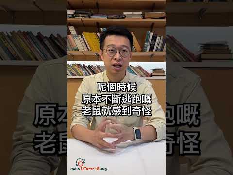 【#90秒心靈教室】如何幫助別人改變(三)｜「貓捉老鼠」的故事｜你的心靈補給站✨｜