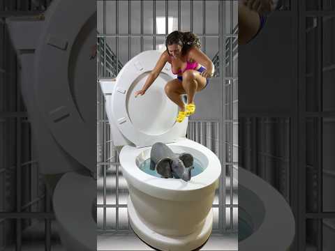 SUPER HIGH JUMP into Elephant in JAIL in the Giant Toilet with BIG SPLASH #shorts