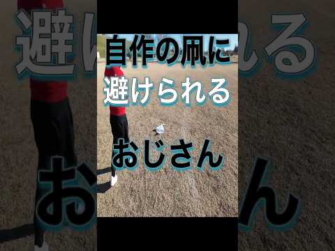 【凧揚げ】自作の凧に避けられるおじさん。 #shorts