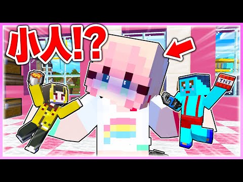 🌈小人になって女の子をいじめまくるマインクラフト 【まいくら / マインクラフト】