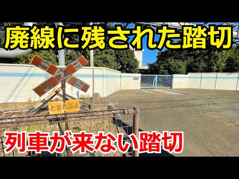 【乗りものchコラボ企画】神奈川臨海鉄道 千鳥線を探索しました。