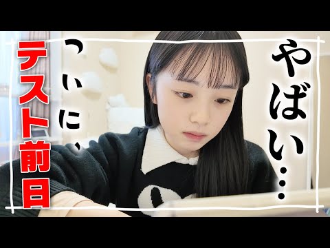 高2最後！ついにテストの前日だから家をスタバだと思って1日勉強がんばる！テスト前日の勉強法も！