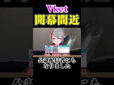 Vketが始まるよ！