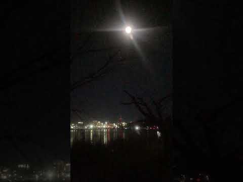 Moon shining above Lake Senba 千波湖の月光 #夜景