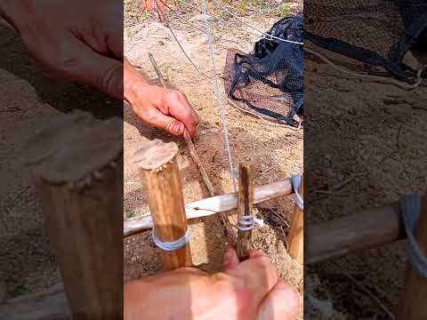 A TEN-MINUTE SURVIVAL TRAP #diy #trap #woodworking #survival #bushcraft