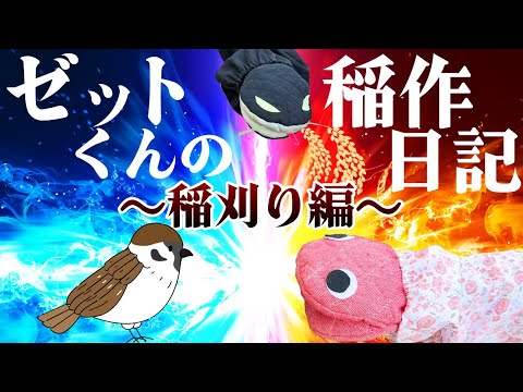 【田んぼまるのみ！】ゼットくんの稲作日記～稲刈り編～