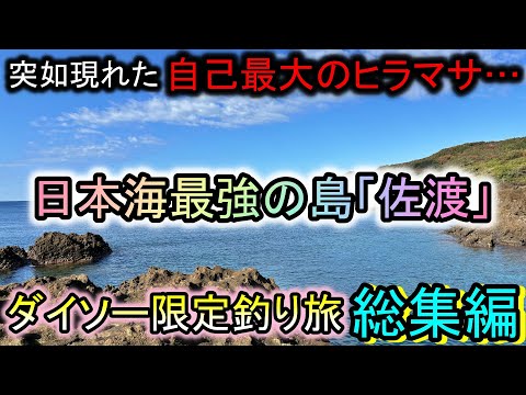 チャンネル史上最大のヒラマサも出現…当たり前のように魚が釣れる佐渡島の魚影を舐めてました