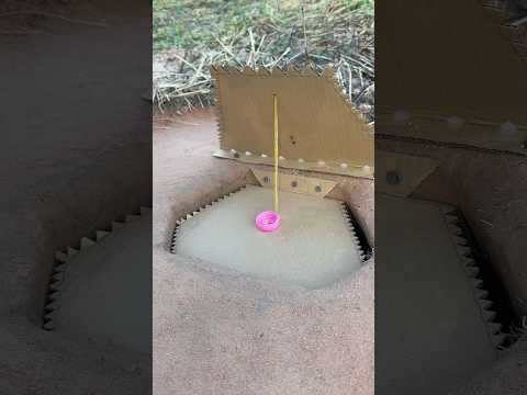 DIY Creative - Create Amazing Underground Quail Trap Using Paper Box #shorts