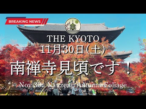 The autumn leaves at Nanzen-ji on Saturday, November 30th