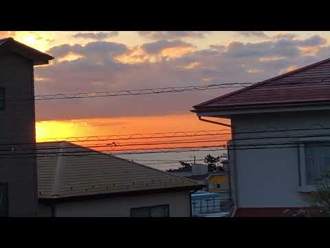 本日の朝日🌅