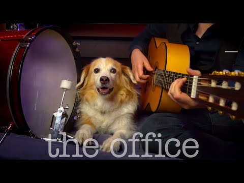 The Office Theme w/ Maple on the Drums