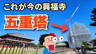 【奈良・興福寺】ついに五重塔が見られなくなった興福寺ってどんな感じ？