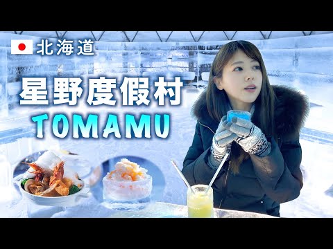 TRAVEL VLOG ✈️HOKKAIDO "TOMAMU Hoshino Resort" / Ice village and more..