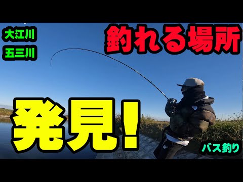 いつも行かないポイント行って釣れる場所を発見！！【五三川】【大江川】【バス釣り】【シャーベットヘアーチャンネル】