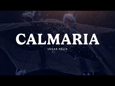 Lucas Felix - Calmaria (Visualizer)