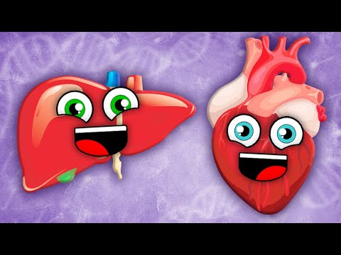 Learn About Things Your Body Does That You Don't Control! | Human Body Songs For Kids | KLT Anatomy