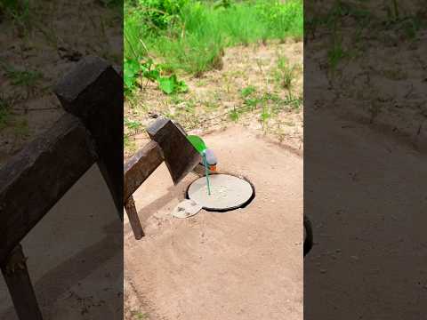 Really amazing bird trap #diy_creative #shorts