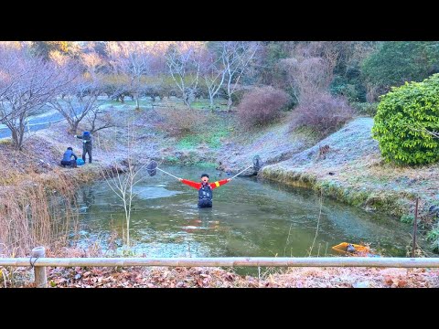 老舗和菓子屋の池の水ぜんぶ抜くと捕獲禁止の激レア生物の捕獲に成功しました！！