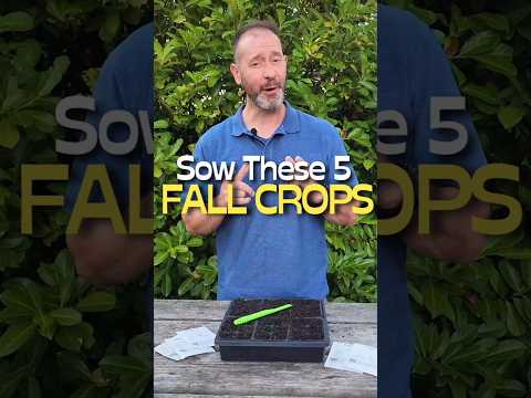 5 Fall Crops You Can Still Sow RIGHT NOW #shorts #fall #vegetables