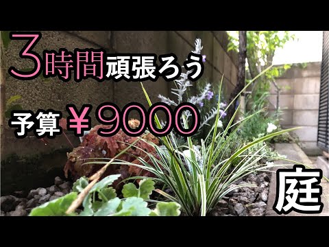 【庭づくり】3時間頑張ろう 予算￥9000 川崎市 #28 Recommended Japanese guest house with New-Japanese garden near Tokyo.