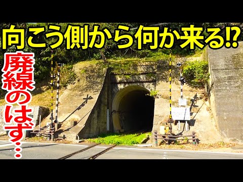 【廃線？現役？】貨物運行が終了した貨物線の意外な現状を観察しました。