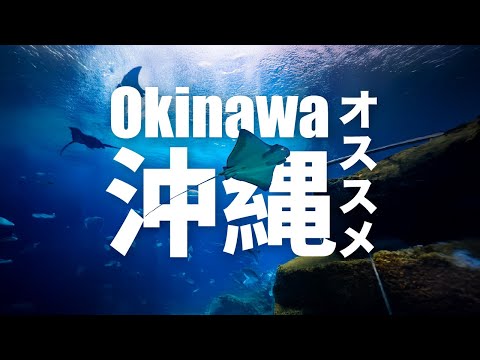 Have Fun in Okinawa Pass ｜DMM Kariyushi Aquarium, Okinawa World, Wagyu BBQ, Kimono Experience